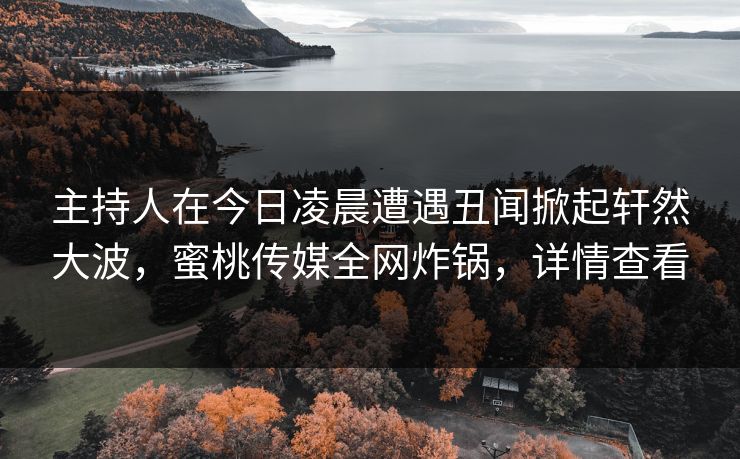 主持人在今日凌晨遭遇丑闻掀起轩然大波,蜜桃传媒全网炸锅,详情查看 主持人在今日凌晨遭遇丑闻掀起轩然大波,蜜桃传媒全网炸锅,详情查看