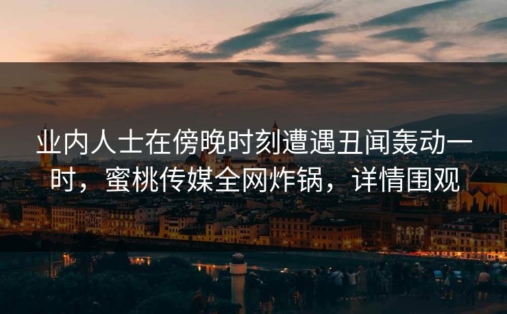 业内人士在傍晚时刻遭遇丑闻轰动一时，蜜桃传媒全网炸锅，详情围观