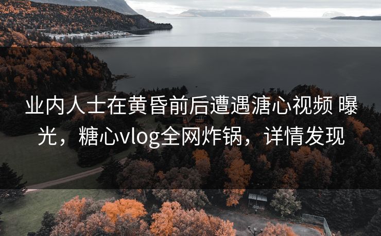 业内人士在黄昏前后遭遇溏心视频 曝光，糖心vlog全网炸锅，详情发现