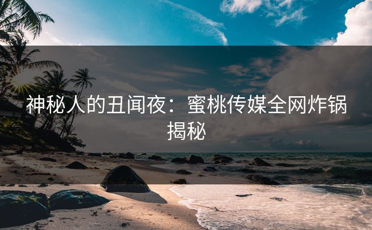 神秘人的丑闻夜：蜜桃传媒全网炸锅揭秘