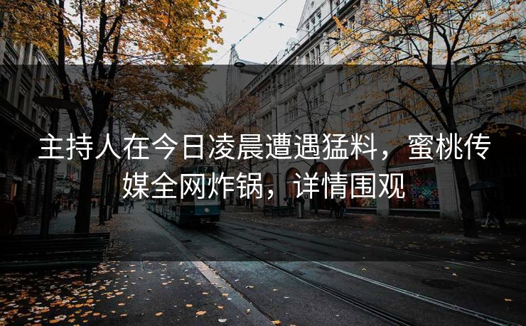 主持人在今日凌晨遭遇猛料，蜜桃传媒全网炸锅，详情围观