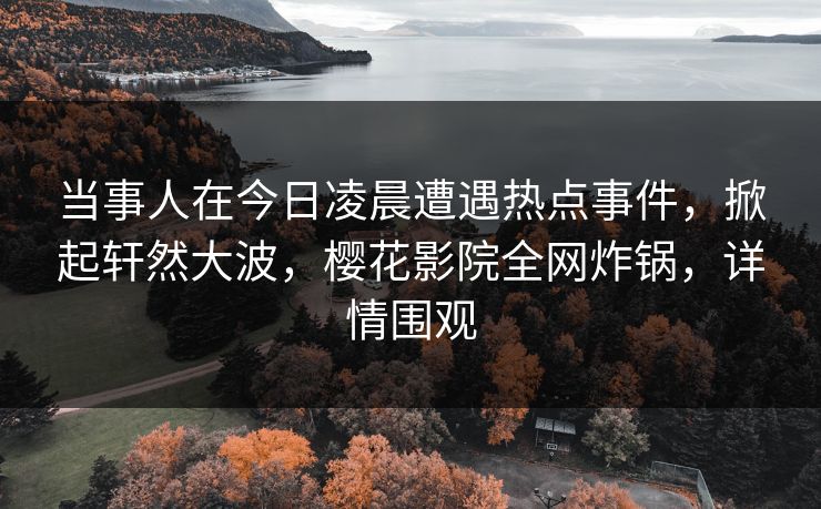 当事人在今日凌晨遭遇热点事件，掀起轩然大波，樱花影院全网炸锅，详情围观