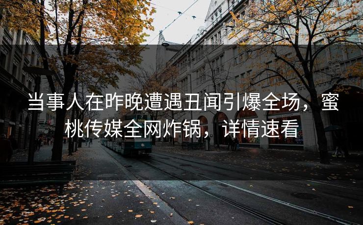 当事人在昨晚遭遇丑闻引爆全场，蜜桃传媒全网炸锅，详情速看