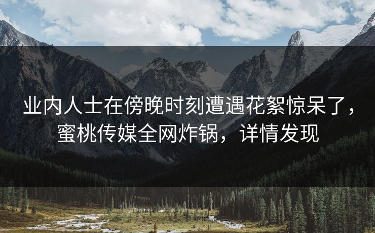 业内人士在傍晚时刻遭遇花絮惊呆了，蜜桃传媒全网炸锅，详情发现